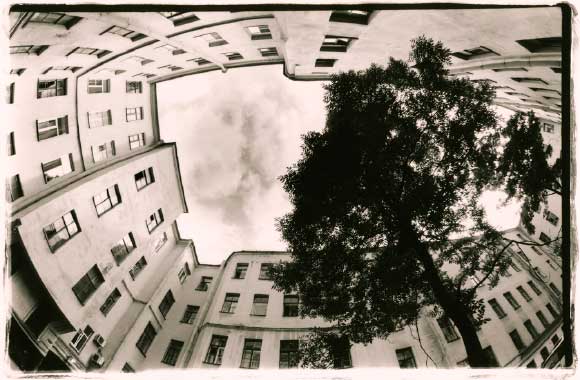 Shostakovich Gallery